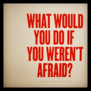 fear-what-would-you-do-if-you-werent-afraid-300x300
